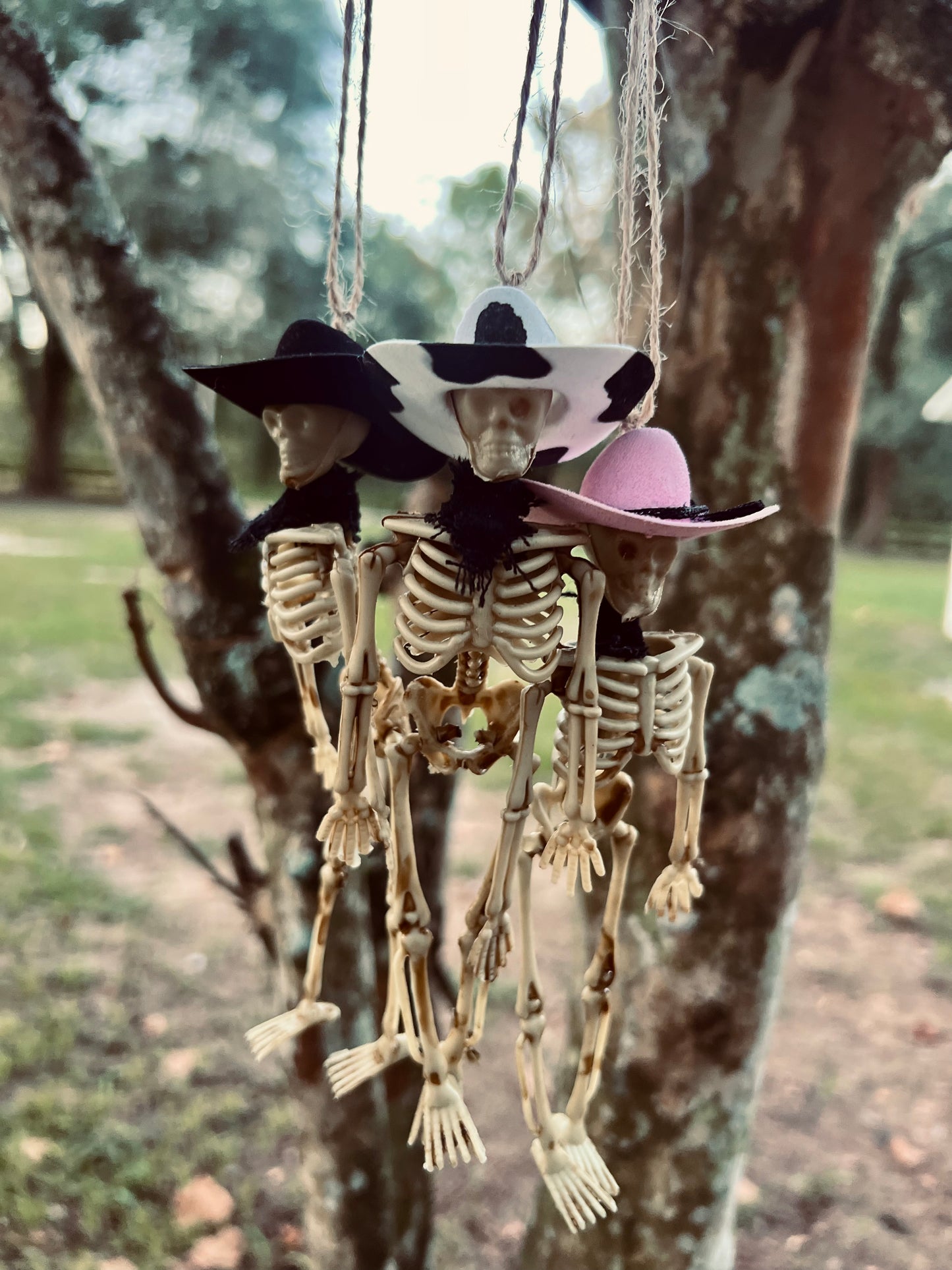 Cowboy Skelletons 🎃